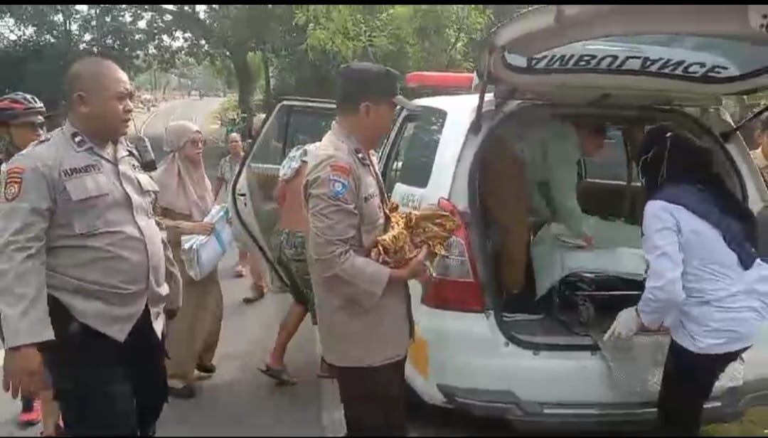 Penuh Luka, Begini Kronologi Penemuan Bayi yang Masih Hidup di Semak Berduri KUD Jelbuk Jember