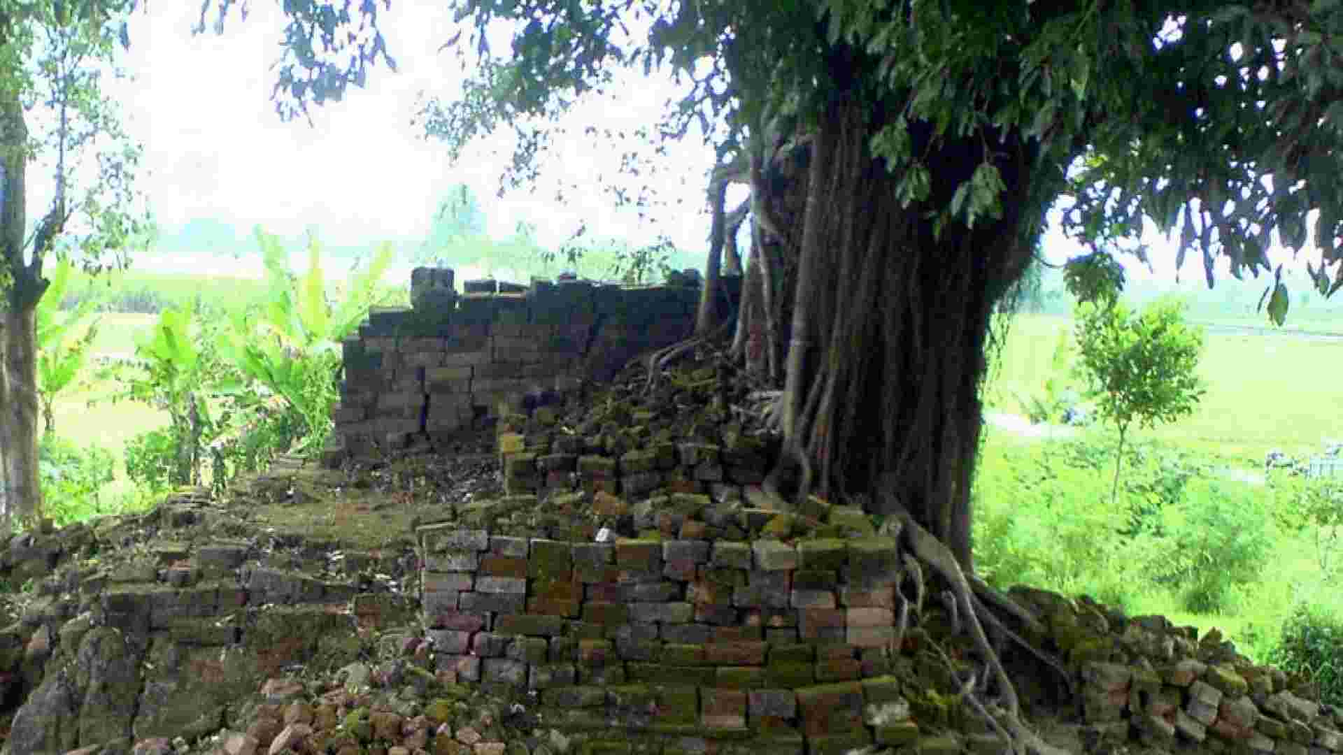 Candi Deres Jember, Jejak Majapahit yang Dicengkeram Akar Beringin