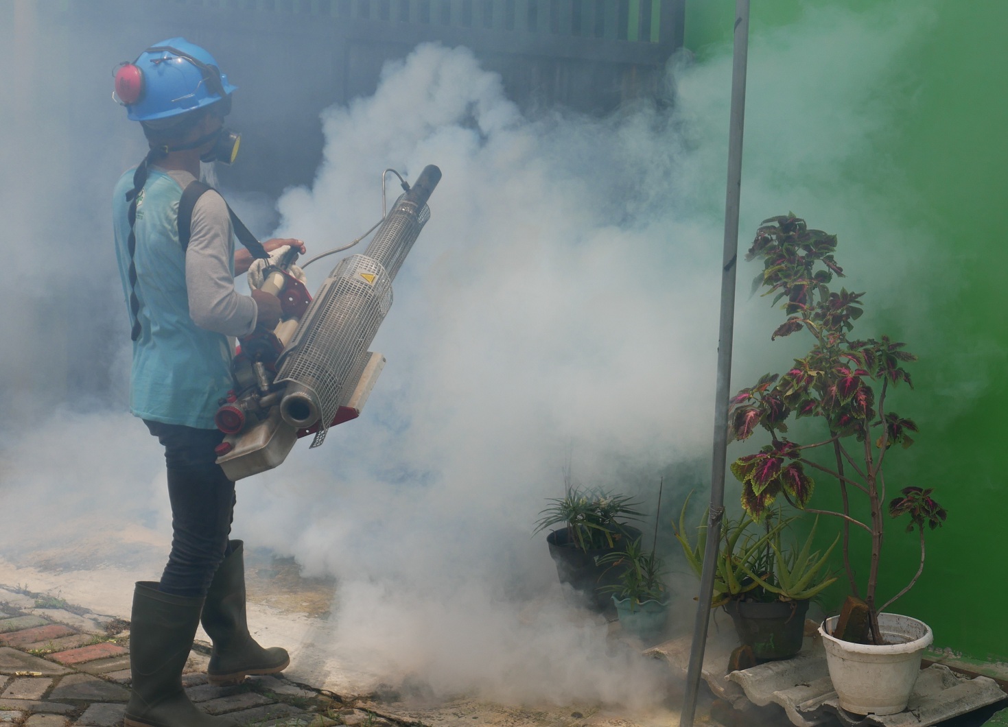 Ribuan Kasus DBD di Jember, Ini Kata Kepala Dinas Kesehatan Jember