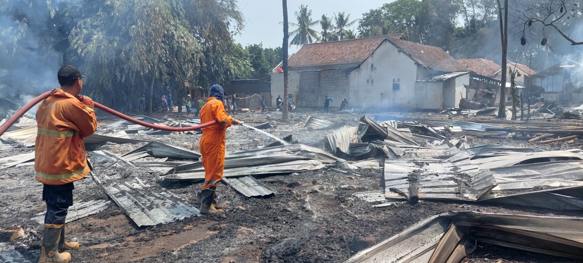 Puluhan Gudang Pengeringan Tembakau Ludes Terbakar di Puger Jember, Kerugian Capai Miliaran Rupiah