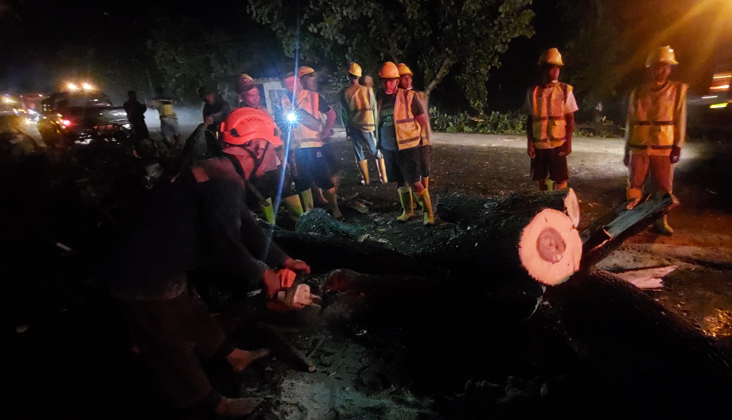 UPDATE, Pohon Tumbang Dievakuasi, Akses Lalin Diberlakukan Sistem Buka Tutup