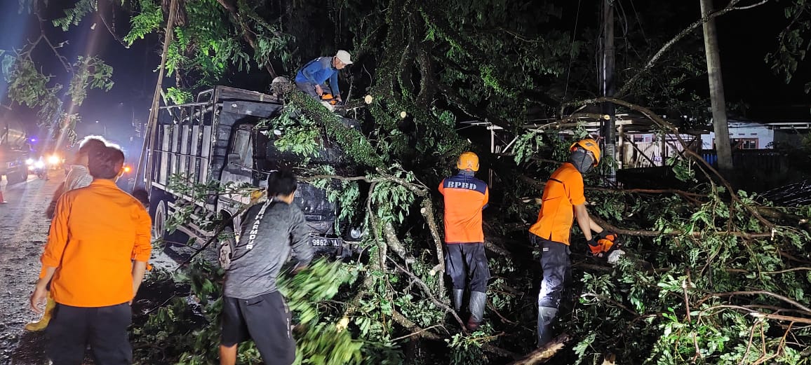 Truk Parkir di Tanggul Tertimpa Pohon Tumbang