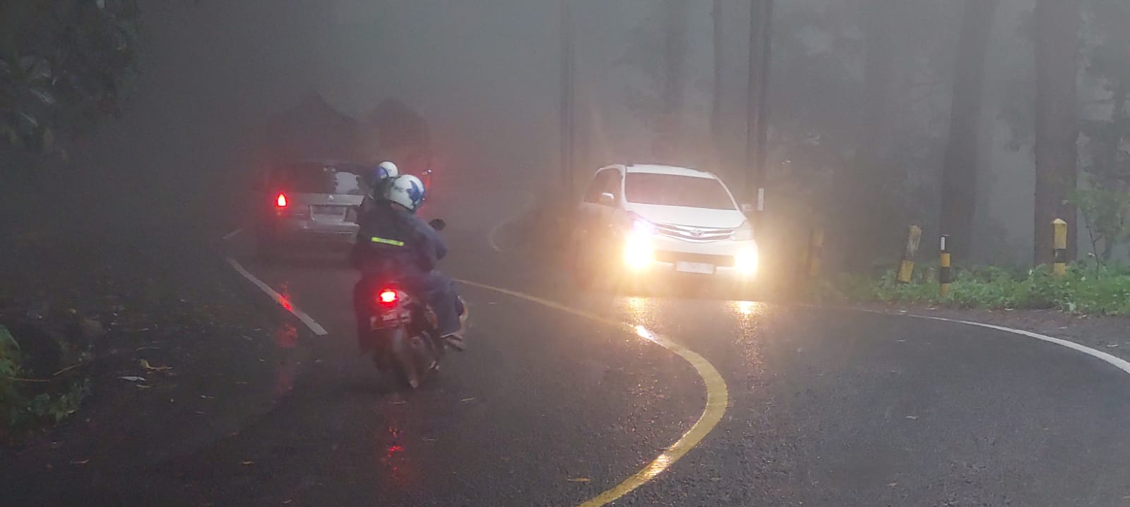 Jalur Gumitir Jember-Banyuwangi Tertutup Kabut, Jarak Pandang Hanya Segini