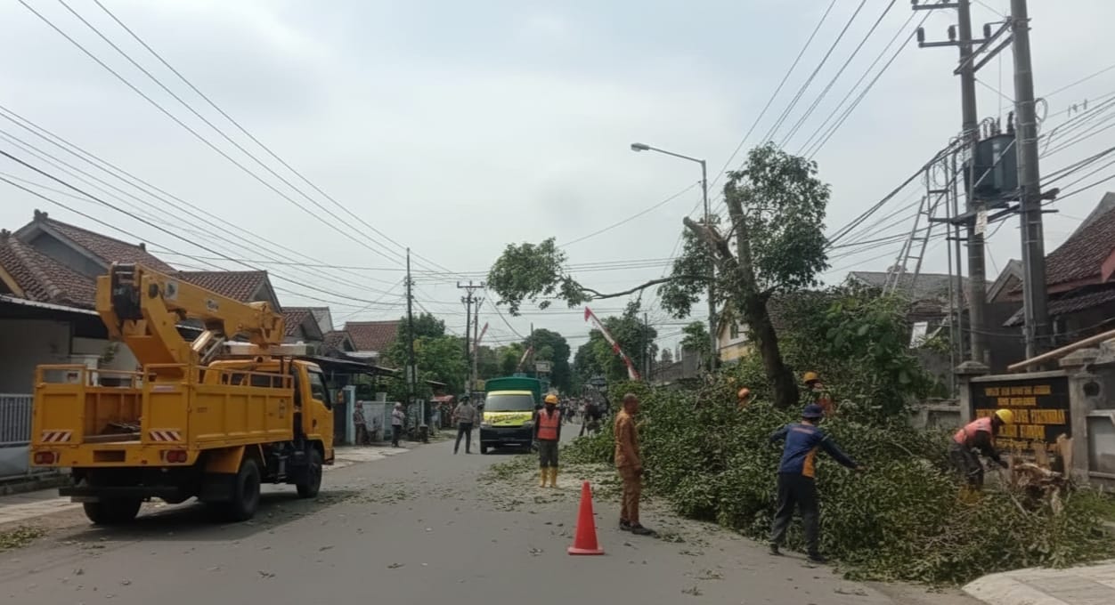 Jember Dihantam Angin Kencang, Rumah Warga Roboh dan Banjir Lumpur Landa Sekolah Dasar