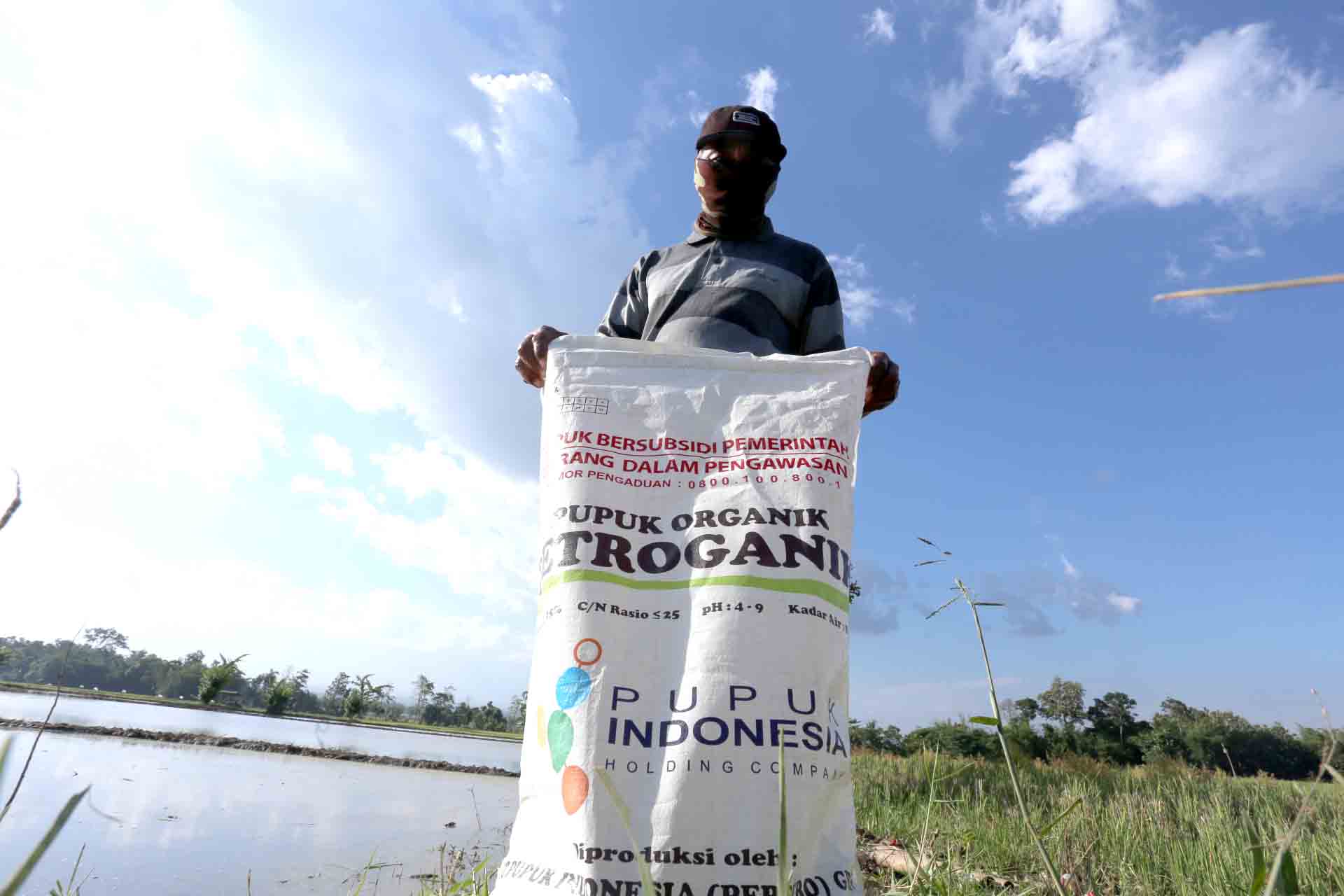 Ada Satu Kios Urus Distribusi 8 Poktan, Banyak Petani di Jember Mengadu Tak Dapat Jatah