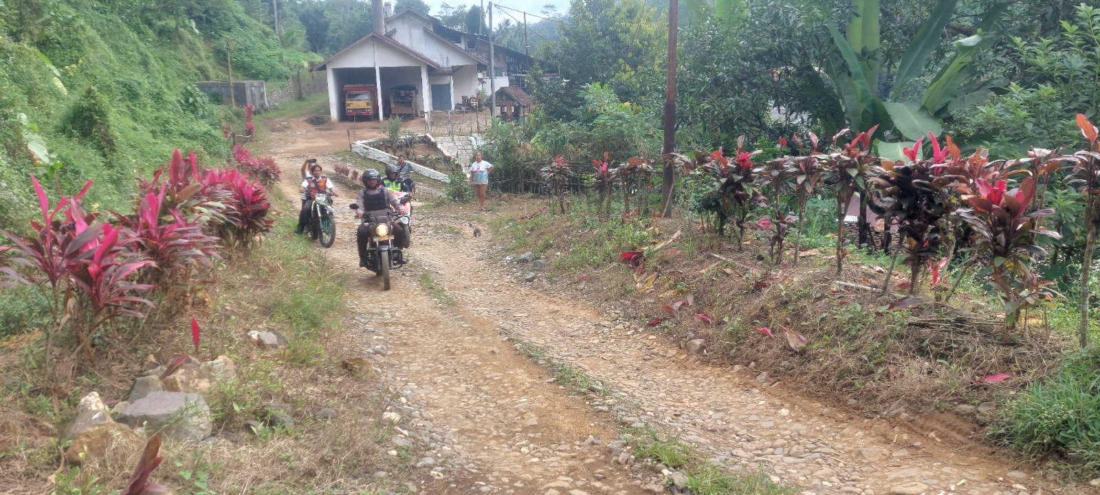 Bahaya! Jalan Alternatif Tidak Direkomendasikan untuk Warga Luar selama Jalur Gumitir Jember-Banyuwangi Ditutup