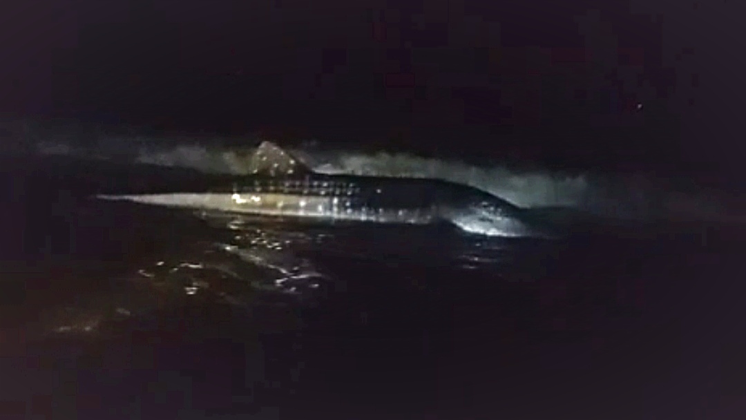 Hiu Tutul Terdampar di Pantai Getem Jember, Kondisinya Begini