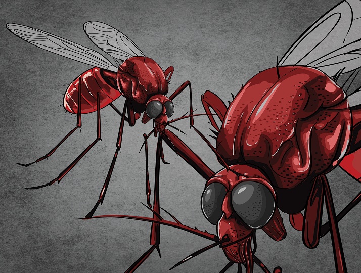 Terjangkit Malaria, 1 Warga Dirawat di Rumah Sakit dr Soebandi Jember