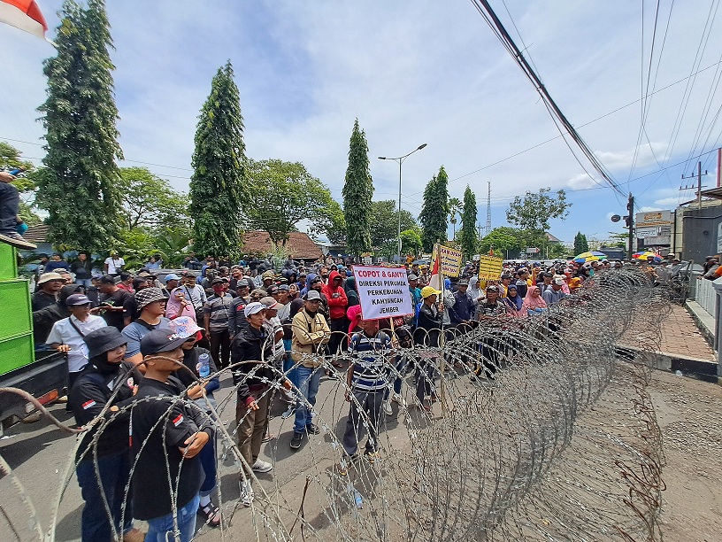 Tuntut Kesejahteraan Buruh, Ratusan Buruh Perumda Perkebunan Kahyangan Jember Unjuk Rasa